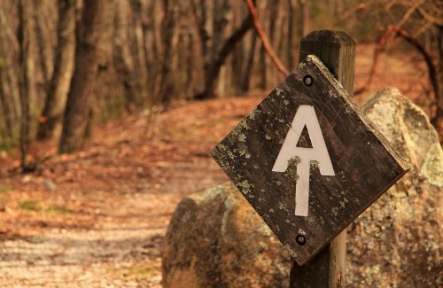 A weathered wooden sign with a white "A" on a trail surrounded by trees and rocks.
