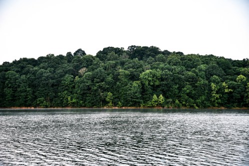 A calm lake reflects a dense forest of green trees under a cloudy sky.