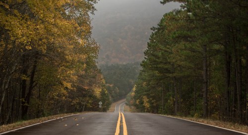 A winding road through a misty forest, lined with trees displaying autumn colors.