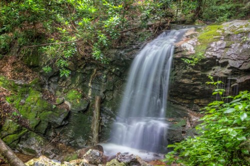 A serene waterfall cascading over rocks, surrounded by lush green foliage in a tranquil forest setting.