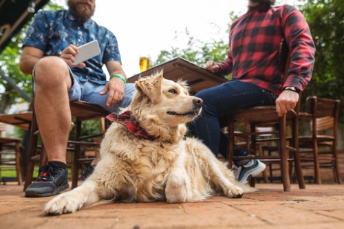A golden retriever sits on the ground near two people at an outdoor café, enjoying a relaxed atmosphere.