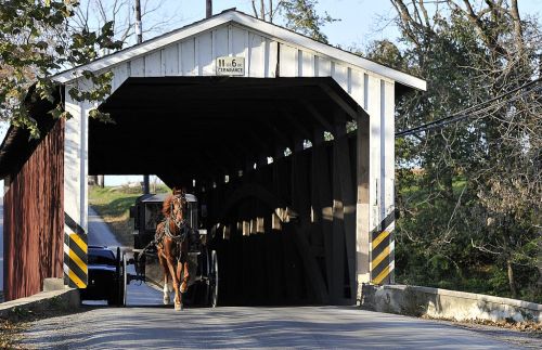A horse-drawn carriage enters a covered bridge surrounded by trees and a clear blue sky.