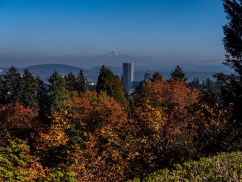 A scenic view of autumn trees with a distant mountain and city skyline under a clear blue sky.