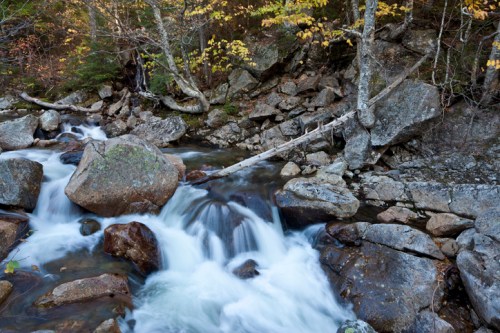 A serene stream flows over rocks, surrounded by trees with autumn leaves, creating a peaceful natural scene.