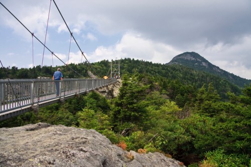 A person walks across a suspension bridge surrounded by lush green trees and a mountain in the background.