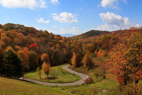 A winding gravel road through vibrant autumn trees with colorful foliage under a blue sky and fluffy clouds.