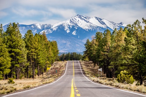 A winding road leads through green trees, with snow-capped mountains in the background under a cloudy sky.
