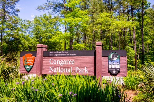 Sign for Congaree National Park surrounded by greenery and trees, indicating the park's entrance.