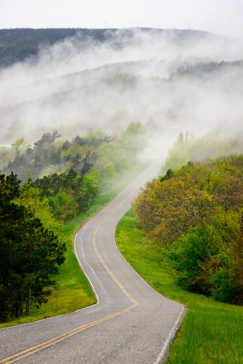A winding road through lush greenery, shrouded in mist, with hills in the background.