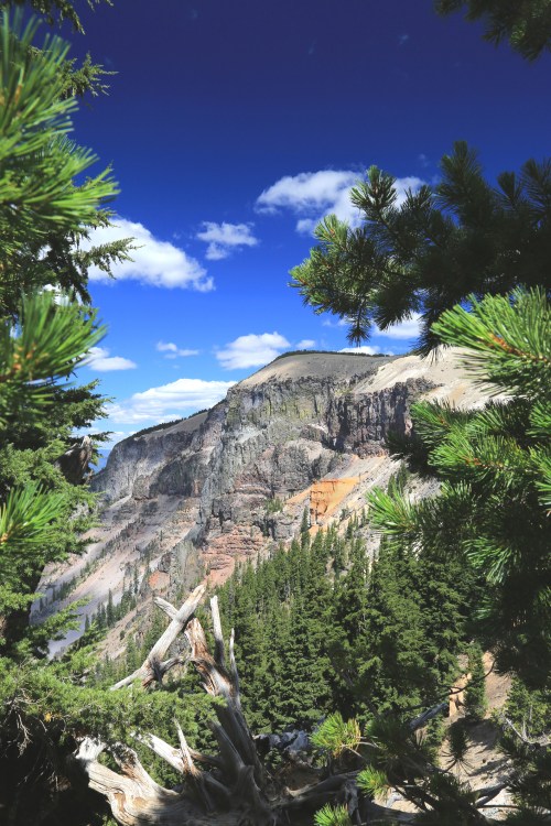 A scenic view of a rocky cliffside framed by evergreen trees under a bright blue sky with scattered clouds.