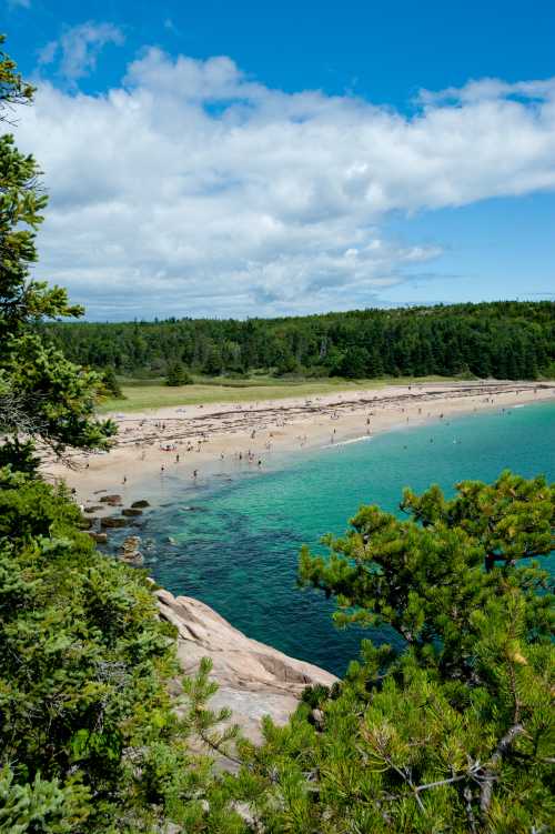 A scenic beach with turquoise water, surrounded by green trees and people enjoying the sunny day under a blue sky.