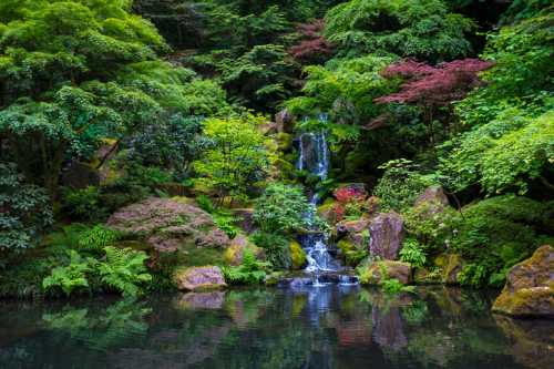 A serene landscape featuring a waterfall cascading into a tranquil pond, surrounded by lush greenery and colorful foliage.