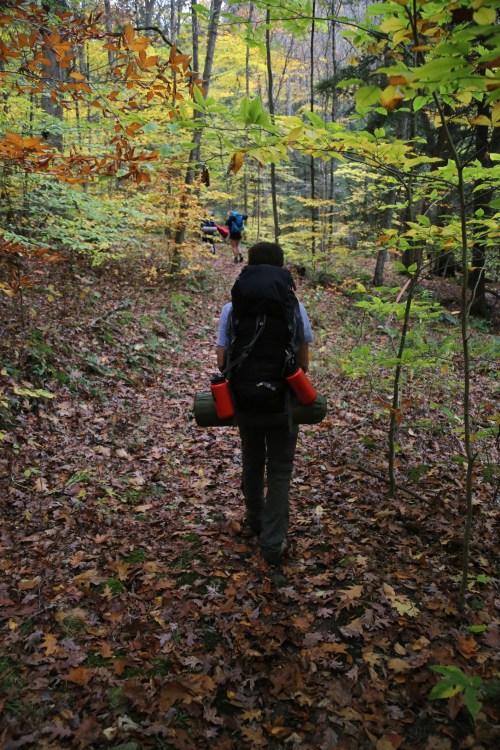 A hiker with a large backpack walks along a leaf-covered trail in a colorful autumn forest.