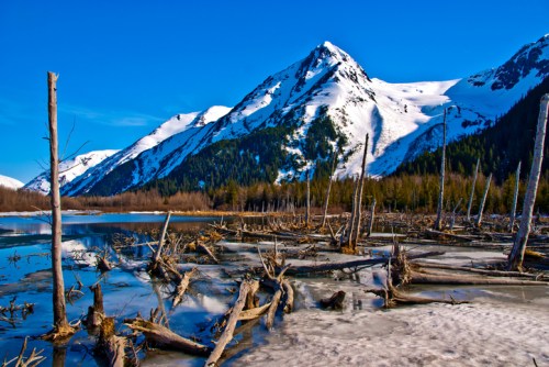 A serene landscape featuring snow-capped mountains, a clear blue sky, and a frozen lake with dead trees in the foreground.