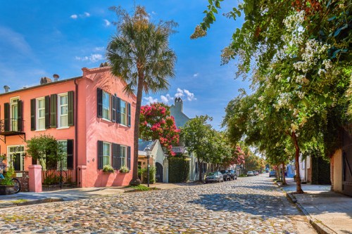 Charming street scene with cobblestone road, pink house, palm trees, and blooming flowers under a bright blue sky.