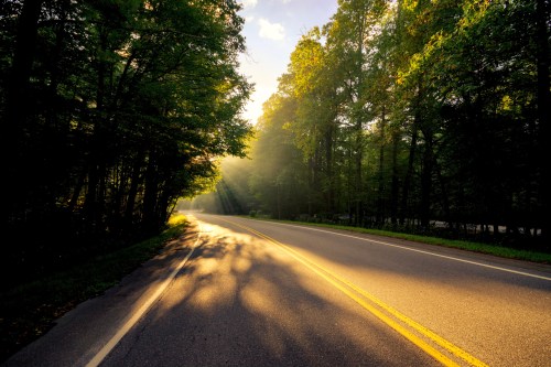 A sunlit road winding through a lush green forest, with rays of light filtering through the trees.