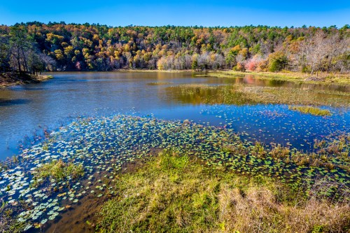 A serene lake surrounded by lush greenery and autumn-colored trees under a clear blue sky.