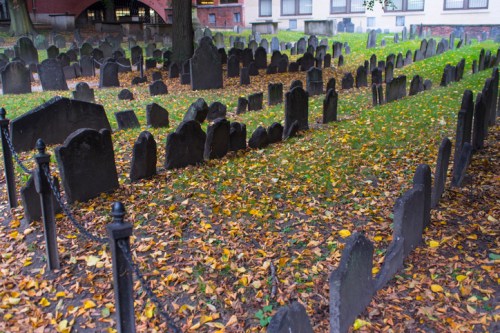 A cemetery with weathered gravestones surrounded by fallen leaves and grass, under a tree in a quiet setting.