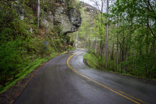A winding road through a lush green forest, flanked by rocky cliffs and wet pavement after rain.