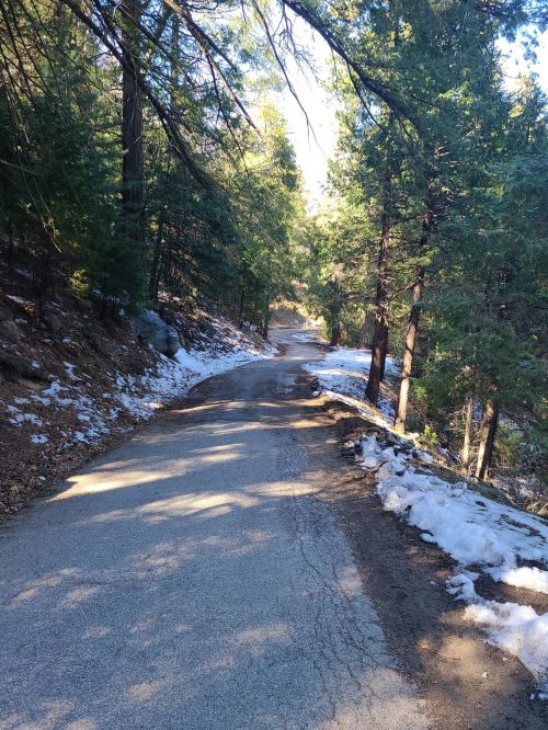A winding road through a forest, with patches of snow along the edges and sunlight filtering through the trees.