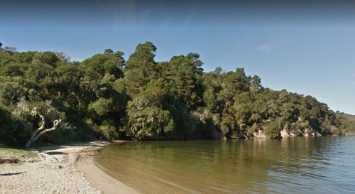 A serene beach scene with calm water, sandy shore, and lush green trees lining the coastline.