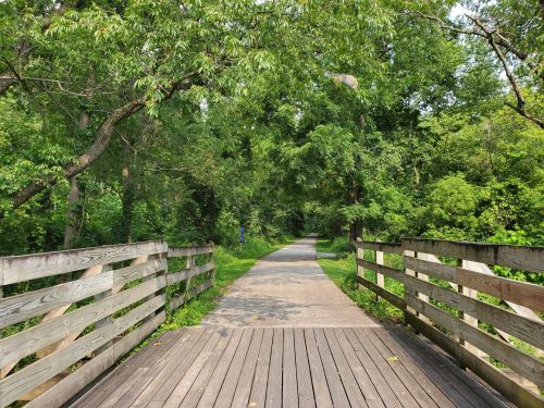 A wooden bridge leads to a path surrounded by lush green trees and foliage.