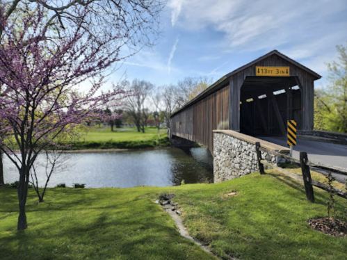 A scenic view of a covered bridge over a calm river, surrounded by green grass and blooming trees.