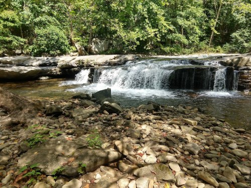 A serene waterfall cascades over rocks into a clear stream, surrounded by lush green trees and a rocky riverbank.