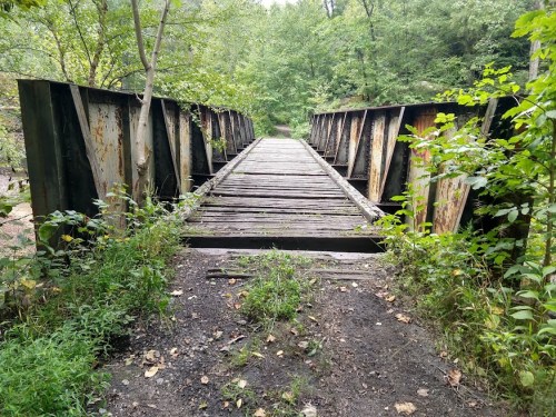 A weathered wooden bridge surrounded by lush greenery and trees, leading into a forested area.