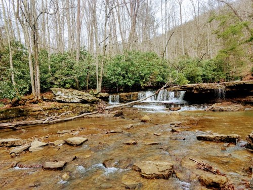 A serene forest scene featuring a small waterfall cascading over rocks into a clear stream, surrounded by trees and greenery.