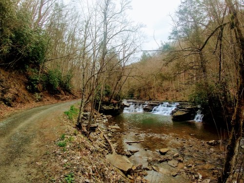 A serene forest scene featuring a winding dirt road beside a calm river with small waterfalls and bare trees.