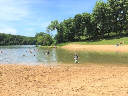 A sandy beach by a calm lake with people swimming and playing, surrounded by green trees under a clear blue sky.