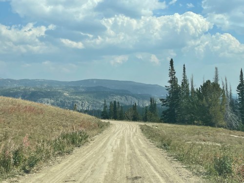 A dirt road winds through a grassy landscape, with mountains and trees under a cloudy sky in the background.