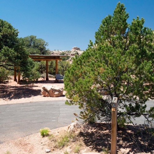 A winding road leads to a shaded area with trees and a wooden structure in a desert landscape under a clear blue sky.