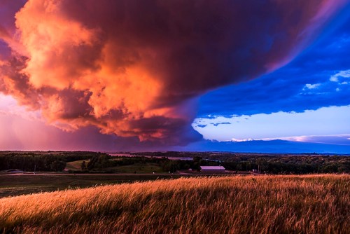 A dramatic sky with vibrant orange and purple clouds over a grassy landscape at sunset.