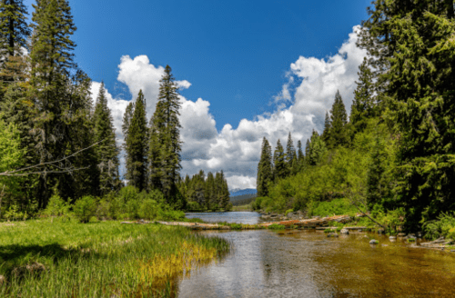 A serene river flows through a lush green landscape, surrounded by tall trees and a bright blue sky with fluffy clouds.