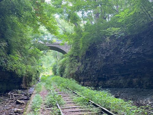 Overgrown railway tracks lead to a stone bridge, surrounded by lush greenery and rocky cliffs.