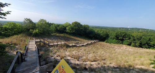 A wooden walkway leads through grassy terrain, surrounded by trees and a clear blue sky in the background.