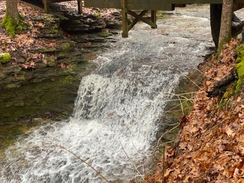 A small waterfall flows over rocky terrain, surrounded by mossy stones and fallen leaves in a wooded area.