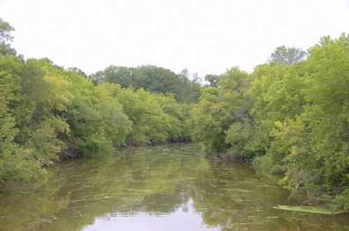 A serene river surrounded by lush green trees and vegetation under a cloudy sky.