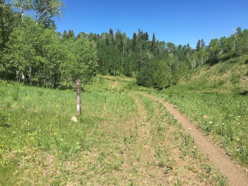 A dirt path winds through a green landscape with trees and blue sky, marked by a trail sign on the left.