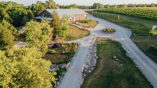 Aerial view of a vineyard property with a gravel path, surrounded by trees and greenery, leading to a building.