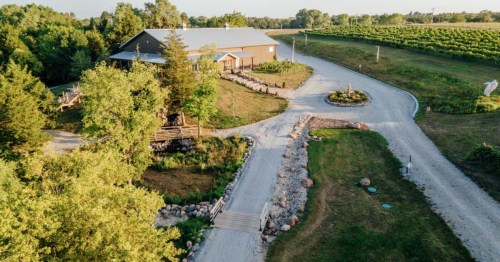 Aerial view of a rustic building surrounded by greenery and a gravel path leading through a vineyard.