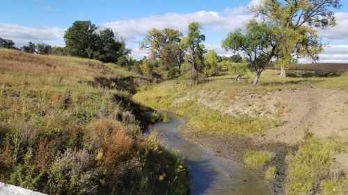 A serene landscape featuring a winding stream surrounded by grassy fields and trees under a partly cloudy sky.