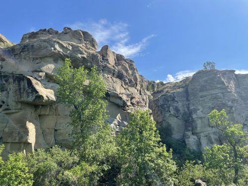 Rocky cliffs rise above lush greenery under a clear blue sky, showcasing a natural landscape.
