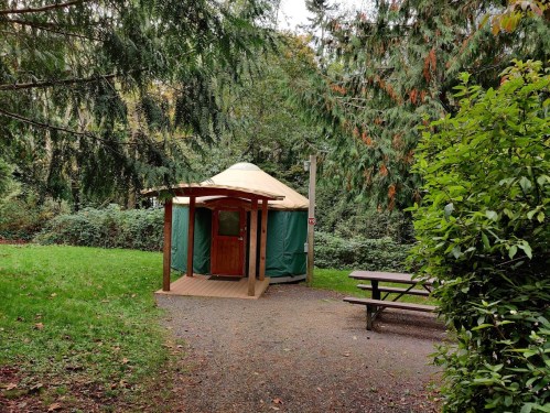 A small wooden yurt with a green exterior sits in a forested area, next to a picnic table on a gravel path.