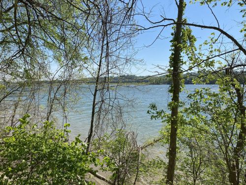A serene view of a river surrounded by trees and greenery under a clear blue sky.