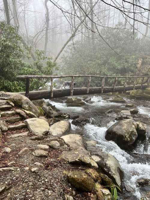 A misty forest scene featuring a wooden bridge over a flowing stream, surrounded by rocks and trees.