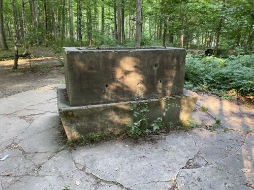 A weathered concrete structure surrounded by trees and greenery in a forested area.