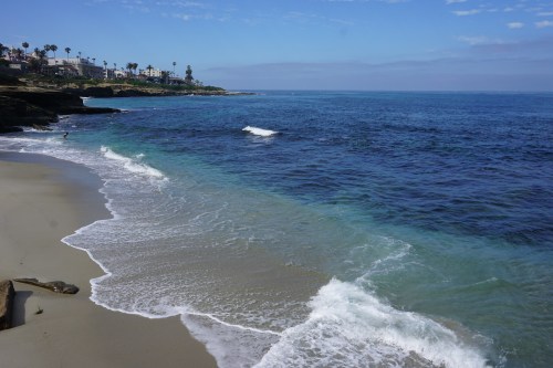 A serene beach scene with gentle waves lapping at the shore, surrounded by palm trees and coastal homes under a clear blue sky.